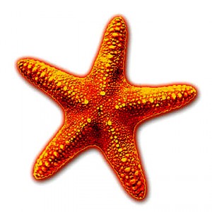 Project Starfish logo